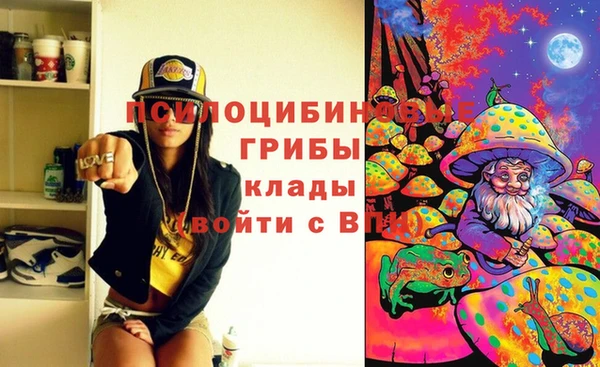 индика Абдулино