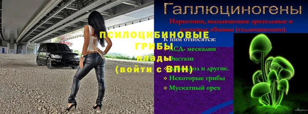 индика Абдулино